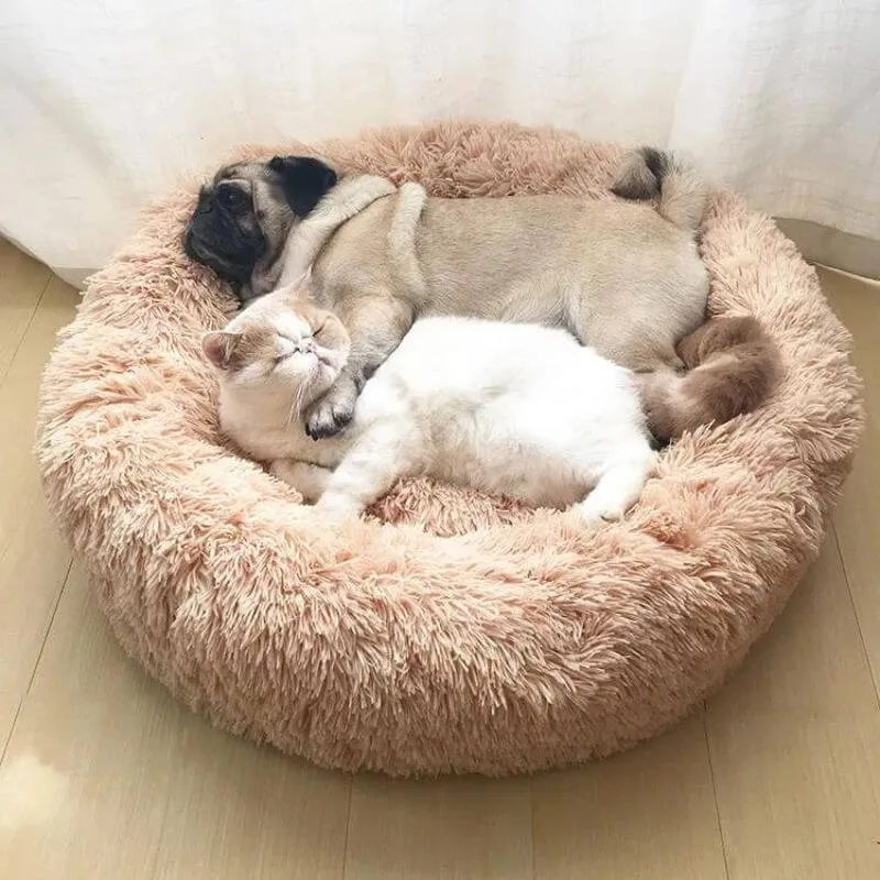 The Original Calming Cloud 9 Cat Bed