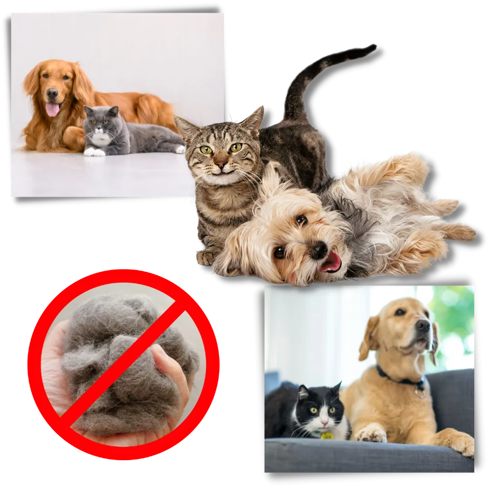 Ultimate Deshedding Brush for Dogs and Cats